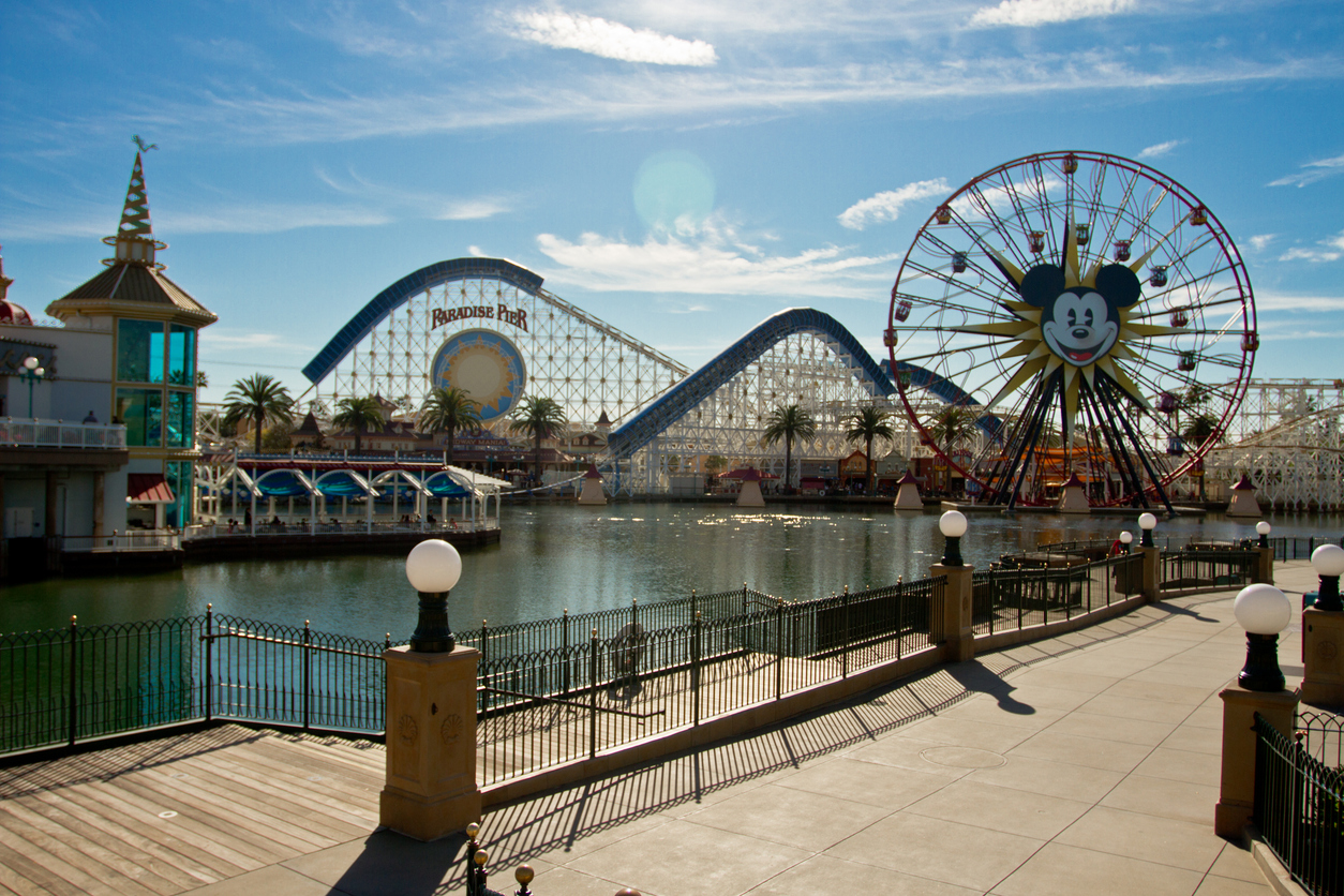 Amusement Park Injury